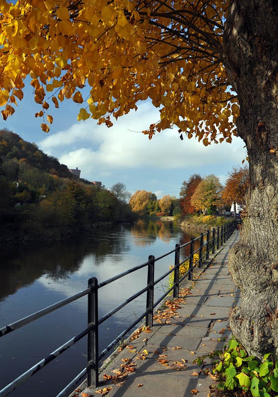 [DSC_7476_sm[5].jpg]