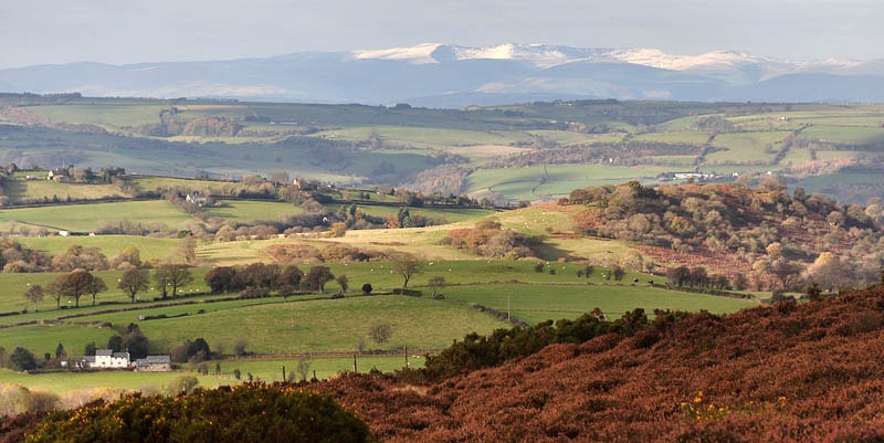 [Snow on the Berwyns[3].jpg]