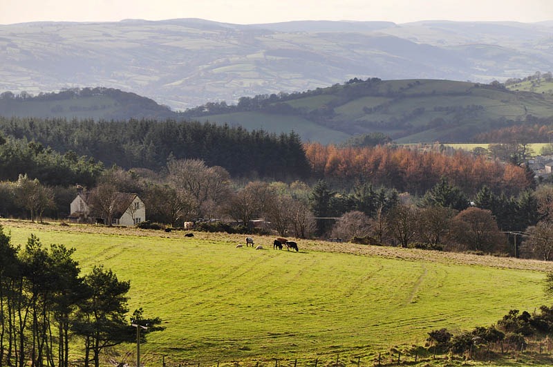 [Rough Grazing[3].jpg]