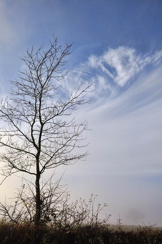[Clear sky above the fog[3].jpg]