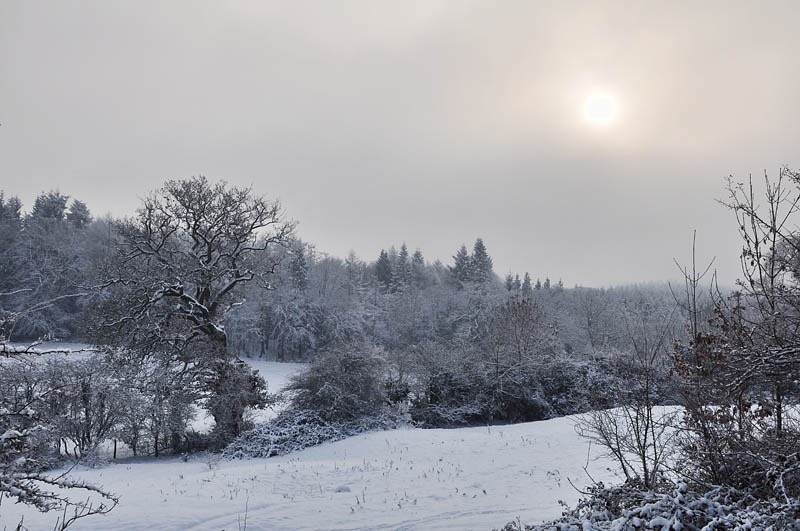 [Fiery Fields 2[3].jpg]