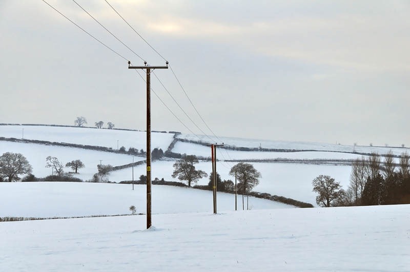 [Snowscape with power lines[3].jpg]