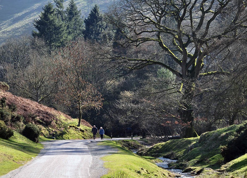 [Cardingmill Valley[3].jpg]