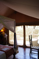 IMGP2356.JPG