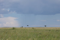 IMGP2754.JPG