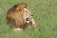 IMGP2454.JPG