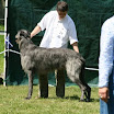 IMG_9541.JPG