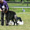 IMG_9542.JPG