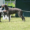 IMG_9562.JPG