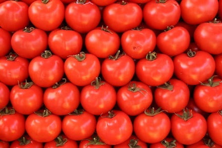 [tomatoes[4].jpg]