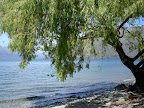 DSC04328.JPG