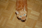 DSC_0033.JPG