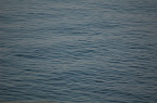 DSC_0121.jpg DSC_0121.jpg