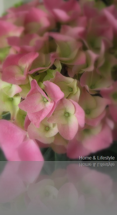 Home & Lifestyle Home & Lifestyle