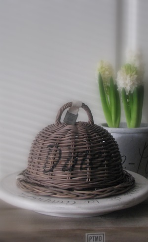 Home & Lifestyle IMG_2239
