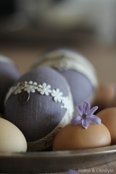 Home & Lifestyle IMG_0472