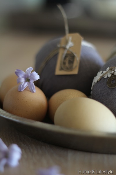 Home & Lifestyle IMG_0473