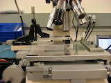 Shown is an experimental setup relating to the Avago receive assembly, verifying lens-to-lens alignment sensitivity.