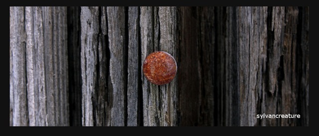 Rust and Wood