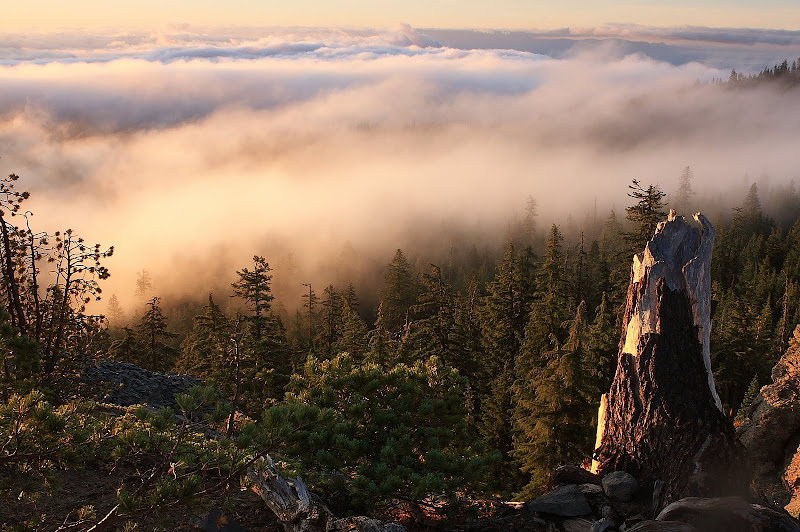 IMAGE: http://lh3.ggpht.com/_-nUXpYGw-FA/StzUcCFWUNI/AAAAAAAABO0/GTxoaPIb-W0/s800/CloudsAndStump.JPG