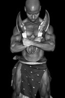 Sexy Male Bodybuilder - The Warriors Gallery 3