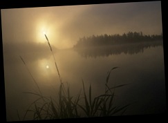 misty_morning_churchill misty_morning_churchill
