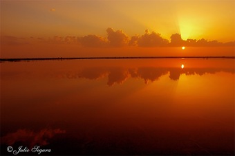 mis reflejos_julio segura carmona mis reflejos_julio segura carmona