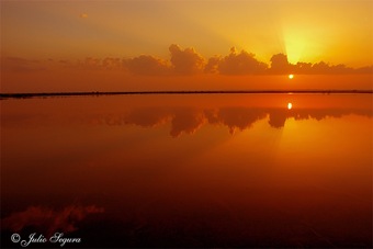 mis reflejos_julio segura carmona