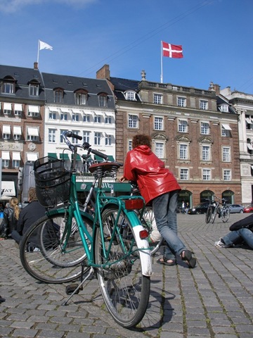 [Home_Yann_Arthus_Bertrand_Outdoor_screening55[3].jpg]