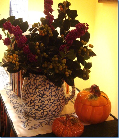 DSC08255 DSC08255