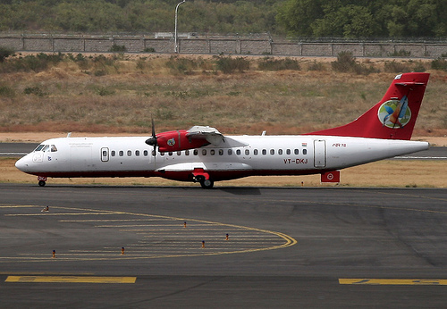 [Image: kingfisher5.jpg]
