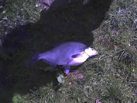 29-04-08_1148.jpg