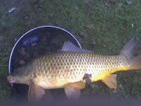 30-03-10_1152.jpg