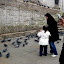 Feeding the birds.