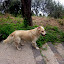 Our friend/tour guide.