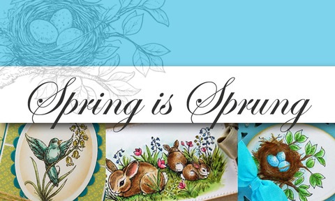 [Spring+is+Sprung+Graphic[4].jpg]