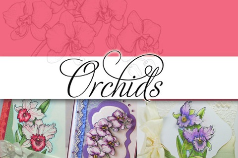 [Orchids+Graphic+copy[5].jpg]