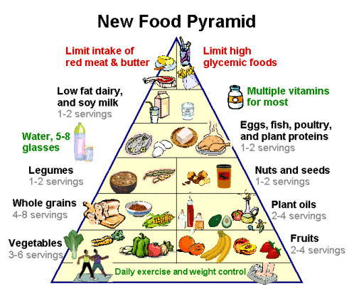 [new_food_pyramid_DRH500[2].gif]