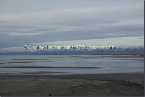 DSC_0587 DSC_0587