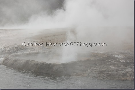 DSC_0506 DSC_0506