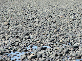 DSCF2829.JPG