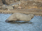 DSCF4035.JPG