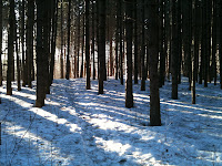IMG_0387.JPG Photo