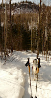 P1110099.JPG Photo