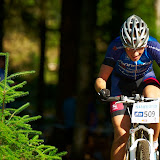 DM2010-390.jpg