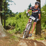 DM2010-394.jpg