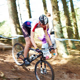 DM2010-365.jpg
