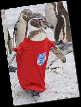 Dippy leads the England team onto the pitch