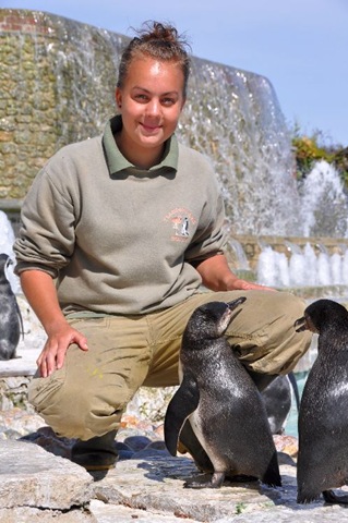 [Chloe with baby Penguins (resized) DSC_0401[10].jpg]