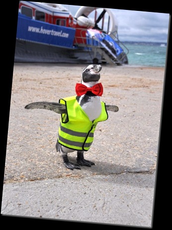 Dippy flaps his approval at Southsea Hover port (resized)